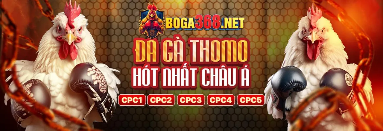 Chất lượng trực tiếp